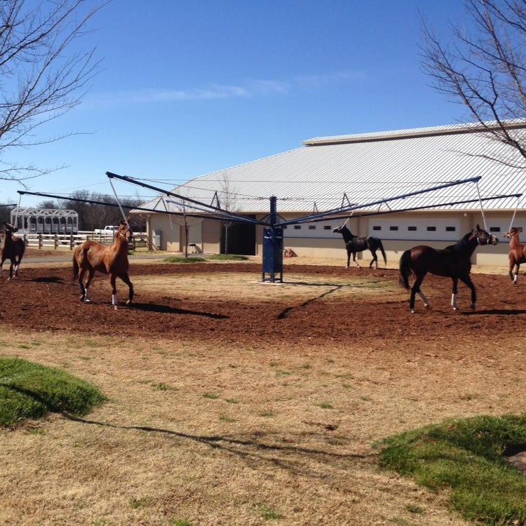 Horse Walkers