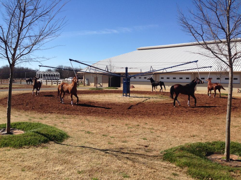 Priefert Lead Walker 70' 8 Horse Touchscreen