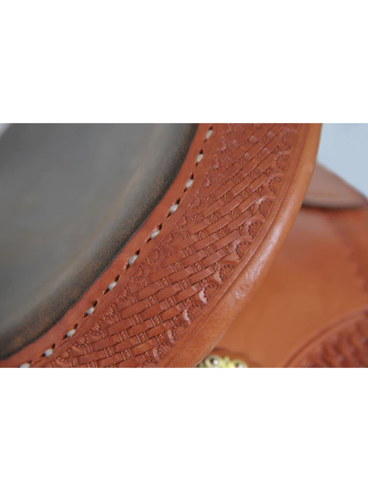 Fabtron Supreme Roper Reiner®